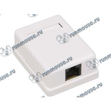 Розетка RJ-45 (UTP) 6 кат. [126196]