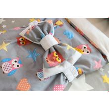 LovelyCare Конверт на выписку Совушка весна осень + бант 100459