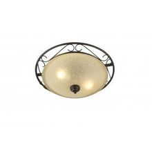 Накладной светильник Rustica II 4413-2