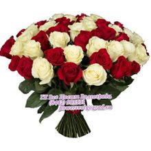 31 роза красная-белая букет Нежность и Страсть