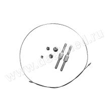 Веноэкстрактор большой, Ворсма, Россия