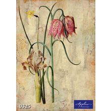 Фреска Applico 0325