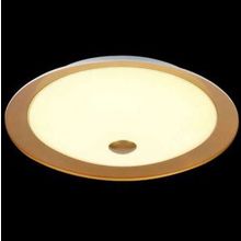 Настенно-потолочный светильник светодиодный Euler золото LED 12W 220V арт. CL815-PT35-G