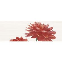 Ibero Groove Coral Red Alice Dec A 25x75 см