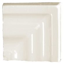 Tonalite Diamante Bianco Angolo Specchio Bordo 8x8 см