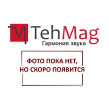 Акустическая система Piega Master Line Source MKII LTD Edition