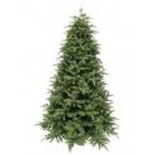 Triumph Tree Ель "Нормандия" пушистая 260 см темно-зеленая