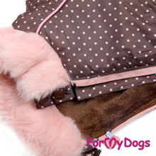 Комбинезон из нейлона для таксы ForMyDogs коричневый для мальчика FW320-2015 M