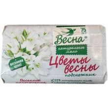 Весна Цветы Весны Подснежник 90 г