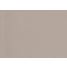 Обложка пластик (прозрачная цветная) A3, 200 мкм (0.20 мм), 100 шт, дымчатый