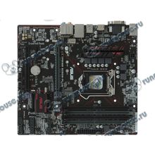 Мат. плата Socket1151 ASUS "PRIME B250M-PLUS" (iB250, 4xDDR4, M.2, SATA III, 2xPCI-E, D-Sub, DVI, HDMI, 1Гбит LAN, USB3.0, mATX) (ret) [137349]