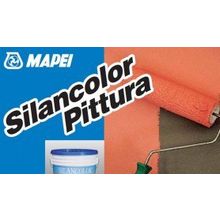 Silexcolor Paint