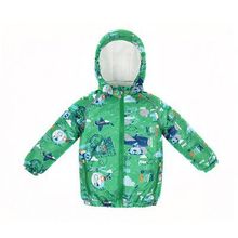 Reike Куртка для мальчика Reike Travelling green 40 107 005 TRV(80) green