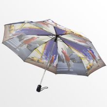 Зонт женский Ame Yoke Шопинг