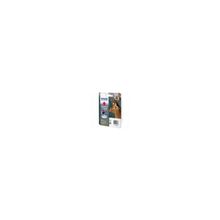 Epson T1303 (C13T13034010) для принтера  Stylus SX525WD,  Stylus Office BX320FW, BX625FWD, B42WD