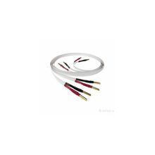 Nordost 2 Flat 50.0 м