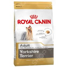 Royal Canin Adult Yorkshire Terrier