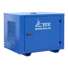 Бензогенератор TSS SGG 6000EH3NA