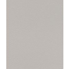 Обои виниловые Rasch Kids & Teens II 700350