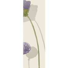 Tonalite Coloranda Crocus Set Flower 3 Pz 10x30 см