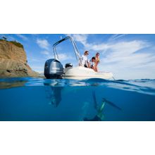 Лодочный мотор Yamaha FL225FETX