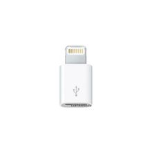 Аксессуары GSM:Apple Lightning micro-USB adapter