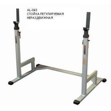 Стойка не раздвижная AL-043, Aliv Sport