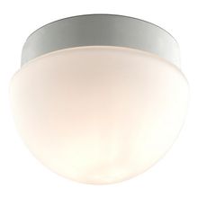 Odeon Light Накладной светильник Odeon Light Minkar 2443 1B ID - 392061