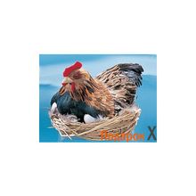 Сувенир Курица с гнездом