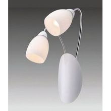 Favourite 1042-2W Blanca бра (настенный светильник)