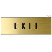 Информационная табличка «Exit» на дверь прямоугольная Д111 (300х100 мм)