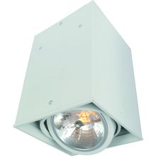 Потолочный светильник Arte Lamp A5936PL-1WH CARDANI