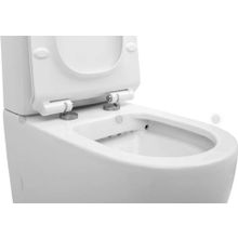 Унитаз Aquanet Rimless Cetus-C1 BL-102N-TPT