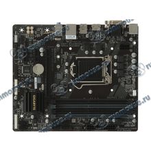 Мат. плата Socket1151 GIGABYTE "GA-B250M-DS3H" (iB250, 4xDDR4, M.2, SATA III, PCI-E, D-Sub, DVI, HDMI, 1Гбит LAN, USB3.1, mATX) (ret) [137365]