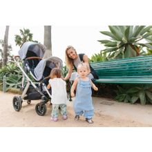 UPPAbaby 2 в 1 Vista 2017 Dennison