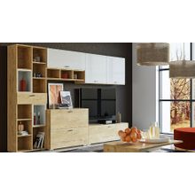 Сильва Стенка для гостиной Snow wood ID - 487285