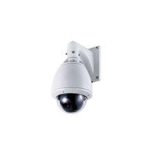 IP камера AVTech AVN284, цветная, поворотная, купольная с объективом
