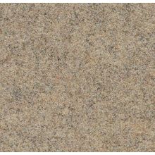 Forbo Markant Color 11103 30 м*2 м 5.5 мм