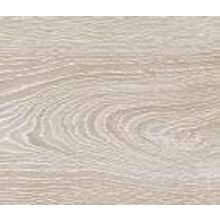 Дуб Морозный