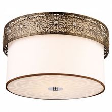 Arte Lamp Накладной светильник Arte Lamp Kabuki A3730PL-4GA ID - 413662