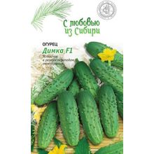 Огурец Димка F1 0,25г цв.п