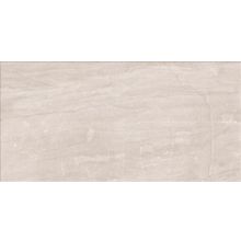Alaplana San Marino Gris Mate 50x100 см
