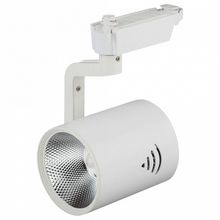 ЭРА Светильник на штанге Эра TR1 TR1 - 30 WH ID - 465221