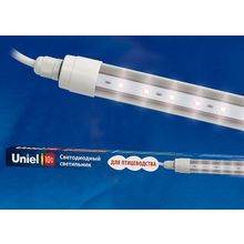 Uniel Накладной светильник Uniel Uly-P60 ULY-P60-10W SCEP K IP65 DC24V WHITE ID - 425740