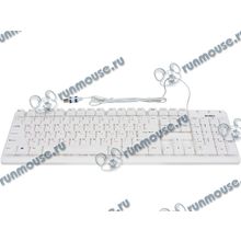 Клавиатура Sven "Standard 301", 104+1кн., водостойкая, белый (USB) (ret) [130162]
