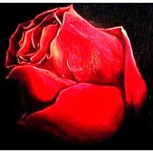 ОЛИМАР Картина "Роза"