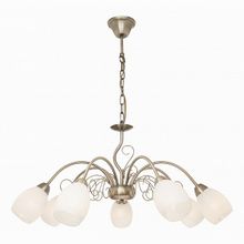 SilverLight Aimi 139.53.7