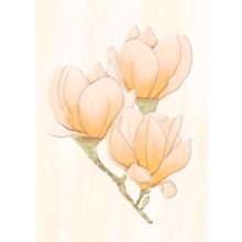 Axima Крема D вставка 200 мм*300 мм