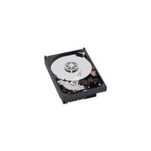 Жесткий диск 500Gb WD AV-GP SATA-II IntelliPower 16Mb (WD5000AVCS)