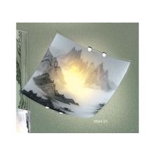 BLITZ  Светильник Blitz 2524-21